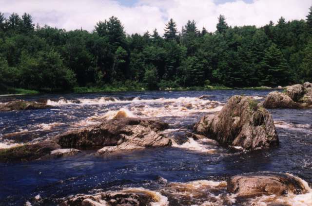 Images/lower gordon falls.jpg